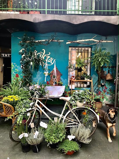 Kwiatowy Zakątek, Kwiaciarnia w Chorzów