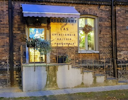 Deszczowy Las | Dekoracja ślubów | Warsztaty Florystyczne | Pracownia Florystyczna, Kwiaciarnia w Ruda Śląska