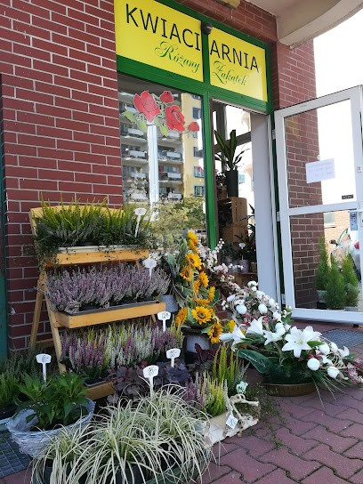 Kwiaciarnia Różany Zakątek, Kwiaciarnia w Łódź