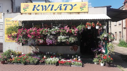 Kwiaciarnia Mercedes, Kwiaciarnia w Częstochowa