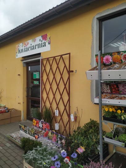 Kwiaciarnia Beata Cypryńska, Kwiaciarnia w Szerzyny