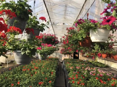 Kwiaciarnia Paula. Ogrodnictwo Paulina Starczewska, Kwiaciarnia w Rawicz