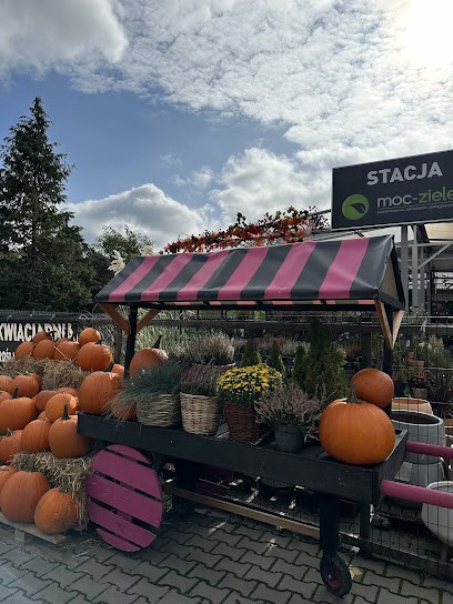 Kwiaciarnia Stacja Moc-zieleni, Kwiaciarnia w Konstancin-Jeziorna