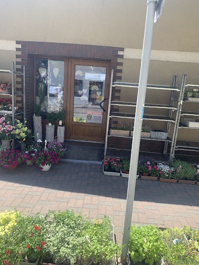 Kroton. PHU. Grzesik B., Kwiaciarnia w Ostrzeszów
