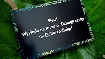 Dżungla Bydgoszcz, Kwiaciarnia w Bydgoszcz