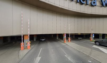 WDF Roses, Kwiaciarnia w Gdynia