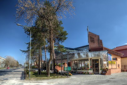 Tulipan. Kwiaciarnia. Lekan L., Kwiaciarnia w Stalowa Wola