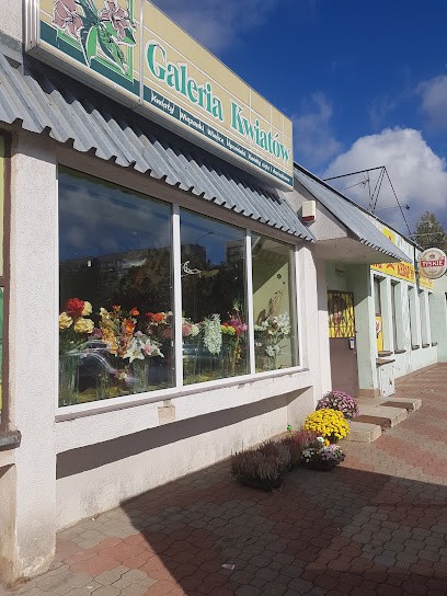 Galeria Kwiatów, Kwiaciarnia w Suwałki
