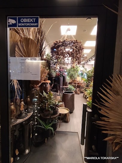 Lodyga, Kwiaciarnia w Konstancin-Jeziorna