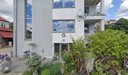 Dani. Hurtownia Kwiatów. Gajzmer W., Kwiaciarnia w Olsztyn