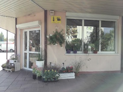 Kwiaciarnia Białystok - Kwiatownia, Kwiaciarnia w Białystok