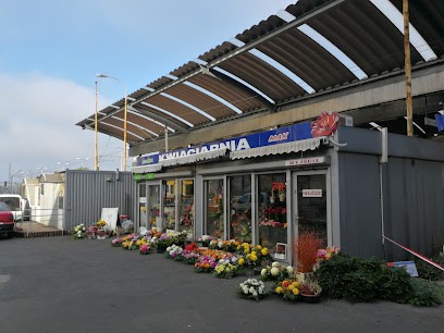 Kwiaty na pogrzeb Katowice, Kwiaciarnia w Katowice