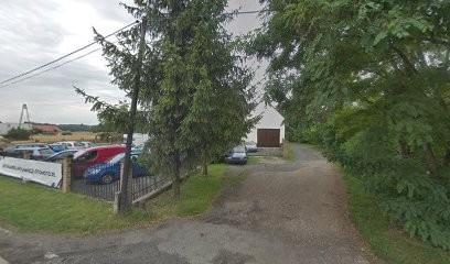 Sadzonki warzywa owoce, Kwiaciarnia w Rakowice Wielkie