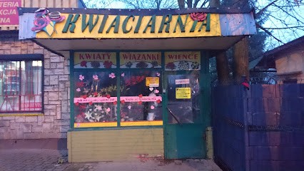 Kwiaciarnia u Kifra, Kwiaciarnia w Stąporków