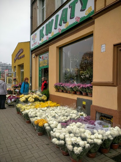 Kwiaciarnia Majewscy, Kwiaciarnia w Legnica