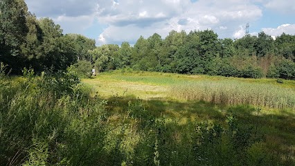 Kwiaciarnia Maki, Kwiaciarnia w Katowice