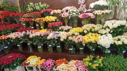 Kwiaciarnia Family Flowers - Narcyzowa 1, Kwiaciarnia w Gdynia