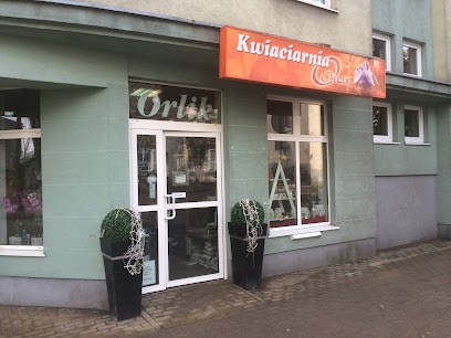 Kwiaciarnia Pabianice. Kwiaciarnia Orlik., Kwiaciarnia w Pabianice