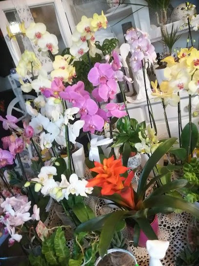 Kwiaciarnia Kwiaty u Ewy, Kwiaciarnia w Kęty