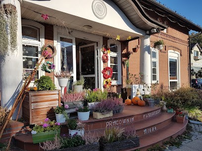 Pracownia Florystyczna Alexa Flowers & Decorations Kwiaty Gdańsk, Kwiaciarnia w Gdańsk