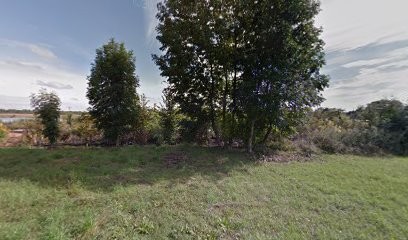 Kolorowyogrodek, Kwiaciarnia w Gogolin