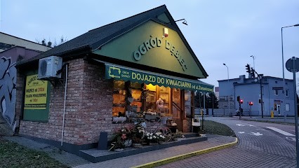 Kwiaciarnia Ogród Dębiec, Kwiaciarnia w Poznań