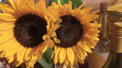 Baran A. Kwiaty, upominki, Kwiaciarnia w Nowa Ruda