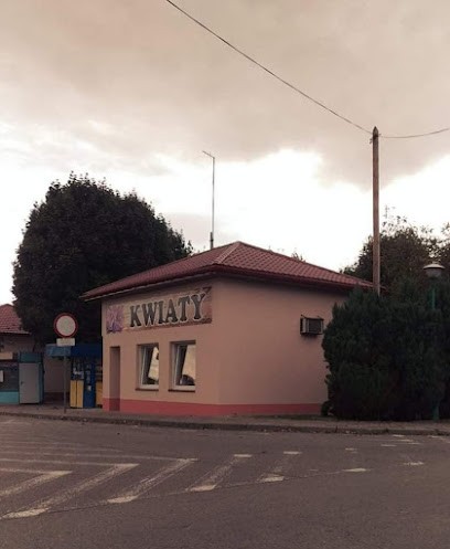 Kozak Zbigniew. Kwiaciarnia, Kwiaciarnia w Sokołów Małopolski