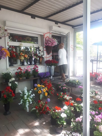 Kwiaciarnia Bella, Kwiaciarnia w Zgierz