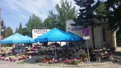 Paprotka, Kwiaciarnia w Elbląg