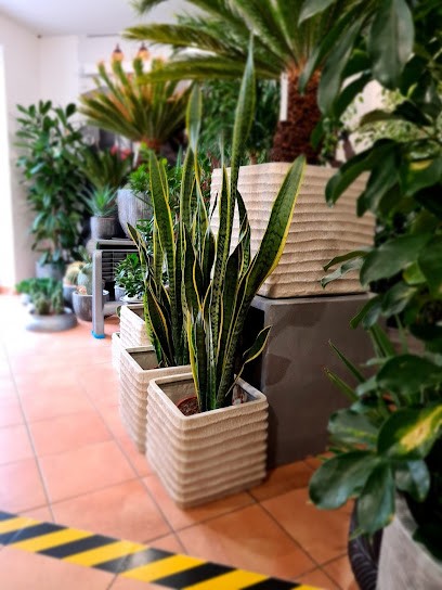 Luksusowy Salon Kwiatowy, Kwiaciarnia w Słupsk