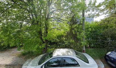 LIOKWIAT, Kwiaciarnia w Sosnówiec