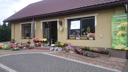 Kwiaciarnia Mleczyk, Kwiaciarnia w Babice