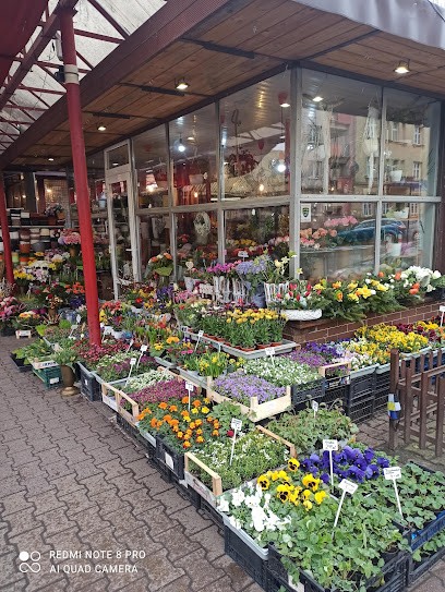 Kwiaciarnia Gladiflora, Kwiaciarnia w Krąków