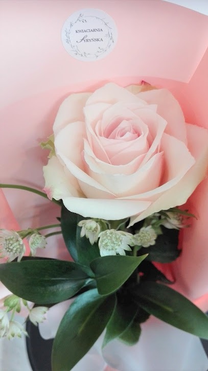 Kwiaciarnia Syryńska Agnieszka Komarek, Kwiaciarnia w Syrynia