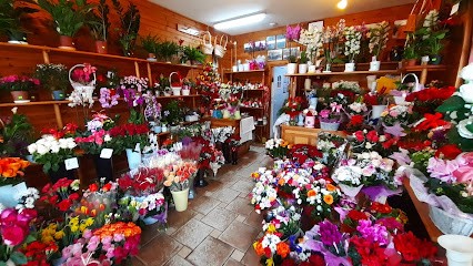 Słonecka Agata. Kwiaciarnia, Kwiaciarnia w Międzyrzec Podlaski