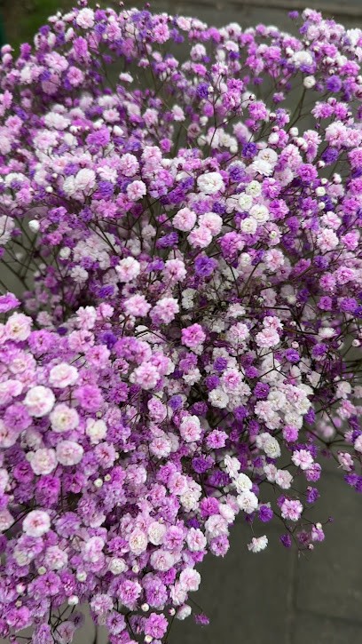 Jessa Dorota Kwiaciarnia, Kwiaciarnia w Wągrowiec