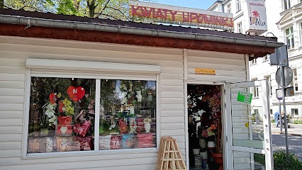 Dalia. Kwiaciarnia. Janda B., Kwiaciarnia w Głubczyce