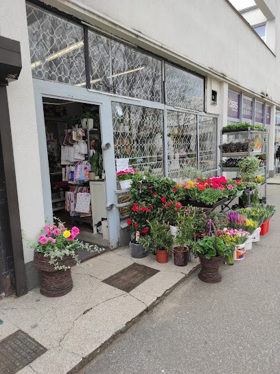 Malowane Atelier, Kwiaciarnia w Gdańsk