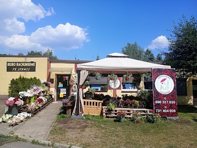 Kwiaciarnia z Klimatem Monika Żurek Dąbrowa Górnicza, Kwiaciarnia w Dąbrowa Górnicza