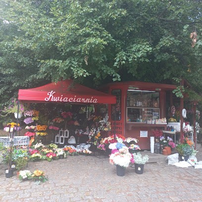 Kwiaciarnia Świat Prezentów Piotrowska Elżbieta, Kwiaciarnia w Świdnica