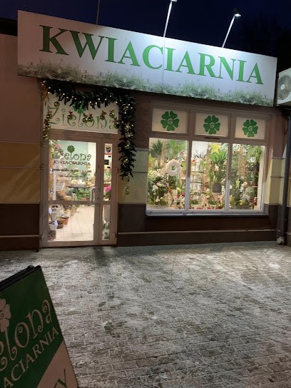 Kwiaciarnia Zielona Wioletta Brzozowska, Kwiaciarnia w Ostrołęka
