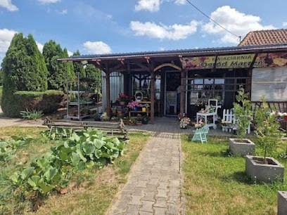 Kwiaciarnia Ogród Marzeń, Kwiaciarnia w Kurzętnik