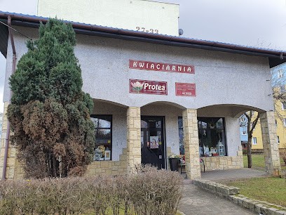 Kwiaciarnia Protea, Kwiaciarnia w Nysa