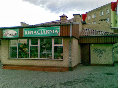 Kwiaciarnia Baccara Zbigniew Niemiec, Kwiaciarnia w Kędzierzyn-Koźle