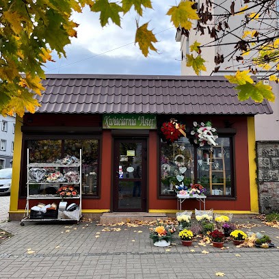 Aster. FH, Kwiaciarnia w Pyskowice