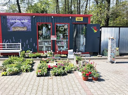 Kwiaciarnia Lawendowy Zakątek, Kwiaciarnia w Górki Wielkie