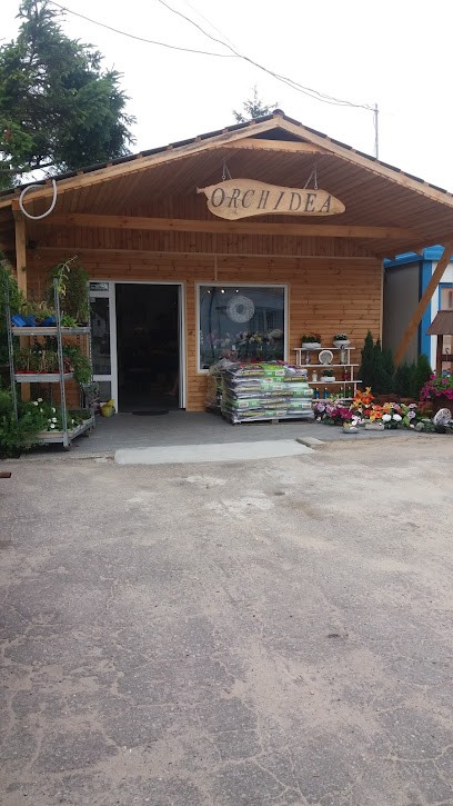 Kwiaciarnia Orchidea Łukta, Kwiaciarnia w Łukta