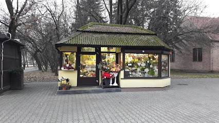 Karina. Kwiaciarnia, Kwiaciarnia w Krąków