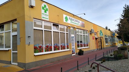 Bocianek Barbara Janiec, Kwiaciarnia w Kielce